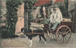 En Sologne N°1721 * 1907 * Les Voitures à Chien , Le Boulanger * Attelage à Chiens * Boulangerie Pain Métier - Autres & Non Classés