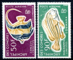 Archipel Des Comores       PA  23/24 **  Poissons - Airmail