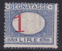 REGNO 1890-94 SEGNATASSE 1 LIRA VARIETA' CIFRA SPOSTATA N.27c G.O MH* CERT. - Neufs