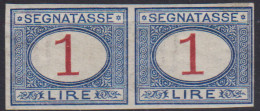 REGNO 1890-94 SEGNATASSE COPPIA 1 LIRA VARIETA' N.27g G.I MNH** CERTIFICATO - Neufs