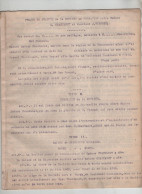 Projet De Statuts Société Chastanet Viennet Paris 1903 - Zonder Classificatie