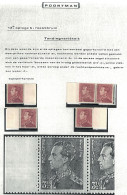 TP 530 Poortman (5) Typeperoratie - Type De Perforation ** Met Uitleg-avec Explication - Unused Stamps