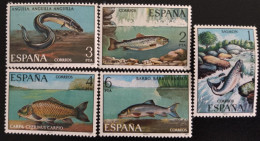 SD)SPAIN. MARINE ANIMALS. FISH. EEL. M NH - Verzamelingen