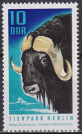 1970 DDR ** Mi:DD 1617, Sn:DD 1243, Yt:DD 1308, Moschusochse (Ovibos Moschatus), Berliner Zoo - Vaches