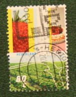 Vier Jaargetijde Fruitteelt NVPH 1750 (Mi 1645) 1998 Gestempeld / USED NEDERLAND / NIEDERLANDE - Oblitérés