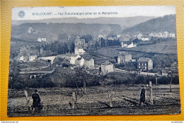 WALCOURT  -  Vue Panoramique Prise De La Maladrerie - Walcourt