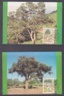 Bophuthatswana 1985 Conserve Trees Set 4 Maxi Cards - Bofutatsuana