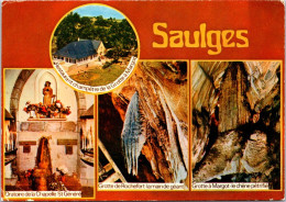 26-9-2023 (2 U 13) France - Posted 1978 - Restaurant Des Grottes De Saulges - Hotels & Restaurants