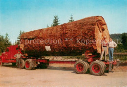 73775078 Landwirtschaft Holz Baum Tree   - Cultivation