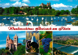 73197891 Breisach Rhein Stephansmuenster Weinlese Reben Fliegeraufnahme Breisach - Breisach