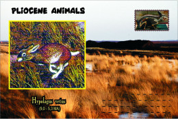 Vignette De Fantaisie , Extinct Animals, Pliocene (3), Hypolagus Vetus - Fantasy Labels