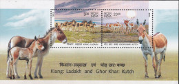 Asses Of Ladakh And Kutch, 2V MS, 2013 MSALM2P20 - Burros Y Asnos