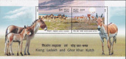 Asses Of Ladakh And Kutch, 2V MS, 2013 MSALM2P20 - Asini