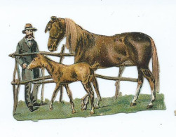 Découpis 7, éleveur Avec Jument Et Poulain, Thème Hippisme, Chevaux ... - Animali