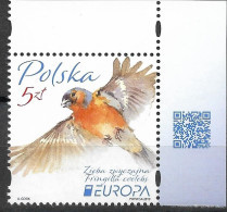 2019 Polen Mi. 5104**MNH Europa : Vögel Buchfink - 2019