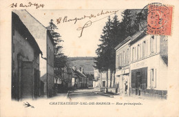 CPA 58 CHATEAUNEUF VAL DE BARGIS / RUE PRINCIPALE - Andere & Zonder Classificatie