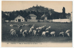 CPA - VESOUL (Haute-Saône) - Vue Sur Notre Dame De La Motte - Vesoul