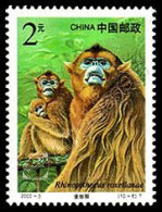 Cina / China 2000: Scimmie / Monkeys ** - Scimmie