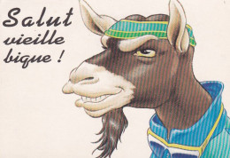 Humour-- 1992-- "Salut Vieille Bique !!!  (chèvre)......à Saisir - Humor