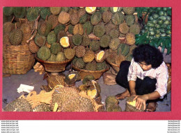 CPA (Réf : X892) N° 360 BANGKOK (ASIE THAILAND) Selling Durian - Thaïlande