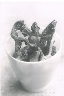 PHOTO  CHAMPIGNON  INCONNU ROUGE ORANGE ET GRIS BLANC 177X126  AQ130 - Mushrooms