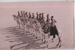 Soudan Sudan Defence Force Camel Corps Army Armée Chameau - Soudan