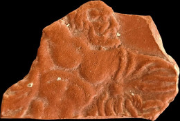 Roman Empire Roman North Africa, Nice Redware Terra Sigillata Fragment. Depicting Hercules. - Archeologia