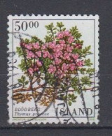 IJSLAND - Michel - 1988 - Nr 690 - Gest/Obl/Us - Gebruikt