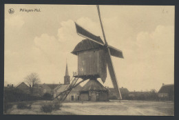 ZK Mol- Millegem, De Windmolen (1 Stuk) - Autres & Non Classés