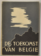 LIT Toekomst Van België, Gelinkt Aan Hitler, Uitgeverij Steenlandt, In 1940 - Otros & Sin Clasificación