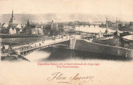 BELGIQUE - Exposition Universelle Et Internationale De Liège 1905 - Vue Panoramique  - Carte Postale Ancienne - Luik