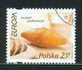 POLAND 2005 MICHEL NO 4183 STAMP USED - Usati