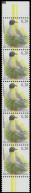 ** N° 3380-Cu Zwartkopmeeuw €0,20 In Verticale Strook Van 5 Met Curiositeit 2 Gele Strepen Door Alle Zegels, Zm - 1985-.. Birds (Buzin)