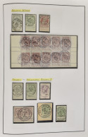 MIX 1905/1907 Zeer Mooie Gespecialiseerde Stempelverzameling Op De Emissie Grove Baard Met De Gewone Kantoren A-Z, Dépot - Other & Unclassified