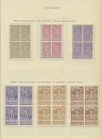 **/* 1896/1956 Samenstelling Restanten, Waarbij Blokken Van Vier En Paren Op Bladen, Zm/m/ntz - Collezioni