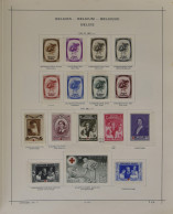 * 1912/1951 Verzameling In Schaubek Klemband, Waarbij Volledige Reeksen, KP, Pubs, Wat Belgisch-Congo, Zm/m/ntz - Colecciones