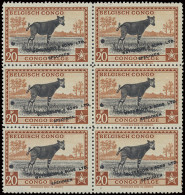 ** Type 246 (block Of 6) 20fr. Orange Brown And Black - Publicity Color Proof With Demonetization Hole (misplaced To The - Autres & Non Classés