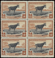 ** Type 246 (block Of 6) 20fr. Orange Brown And Black - Publicity Color Proof With Demonetization Hole (misplaced To The - Other & Unclassified
