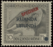 * N° 50, 53, 59/61, Vloors Issue, Full Set With SPECIMEN, Overprint In Red, Punched, With Hinge, Vf (OBP €100) - Other & Unclassified