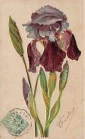 FLEURS - PLANTES - ARBRES - Fleurs - Iris Violet - Colorisé - Carte Postale Ancienne - Blumen