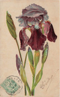 FLEURS - PLANTES - ARBRES - Fleurs - Iris Violet - Colorisé - Carte Postale Ancienne - Flowers