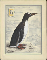 Pinguin 1933, Print In Large Format, L. Scrépel 1949, Interesting Piece For The Topical Collector, Vf - Falkland Islands