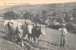 CPA 58 EN NIVERNAIS / LE LABOURAGE - Altri & Non Classificati