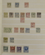 MIX 1885/1985 Verzameling Met Dubbels In 2 Insteekboeken Met O.a. Blokken ** En Op FDC, Boekjes, Zm/m/ntz - Altri & Non Classificati