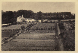 Carte Braine L'alleud Collège Cardinal Mercier CCM Le Potager - Braine-l'Alleud