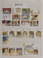 Fauna : Vlinders (overwegend) En Katten In 5 Insteekboeken + Doosje, Leuk Startgeheel, Zm/m/ntz - Other & Unclassified