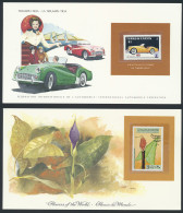 **/FDC België Herdenkingskaarten En FDC's, 3 Cassettes World Mint Collection, Automobiles, Transport, Bloemen, Mz. - Collezioni (senza Album)
