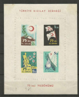 TURQUIA BENEFICENCIA HOJA BLOQUE YVERT NUM. 3 * NUEVA CON FIJASELLOS - Charity Stamps