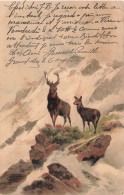 ANIMAUX - Un Cerf Et Une Biche En Montagne - Carte Postale Ancienne - Altri & Non Classificati