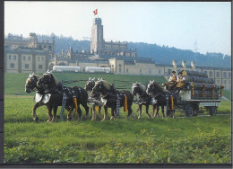 Germany, Brauerei Feldschlösschen, Rheinfelden Mit Sechsspanner. - Rheinfelden